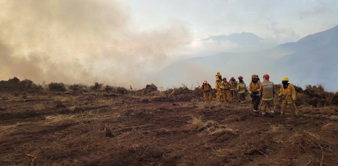 El viento no permite que frenen los incendios.