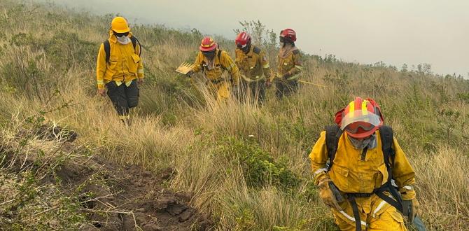 Seis bomberos quedaron atrapados en el incendio.