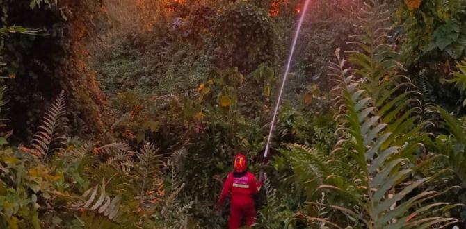 El Cuerpo de Bomberos de Esmeraldas logró contener el fuego.