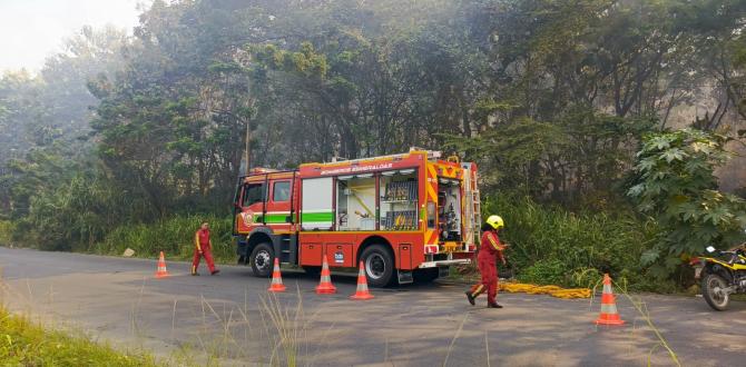 Un incendio forestal se registró en la vía Carlos Concha Torres.