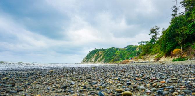 Estero de plátano, Muisne