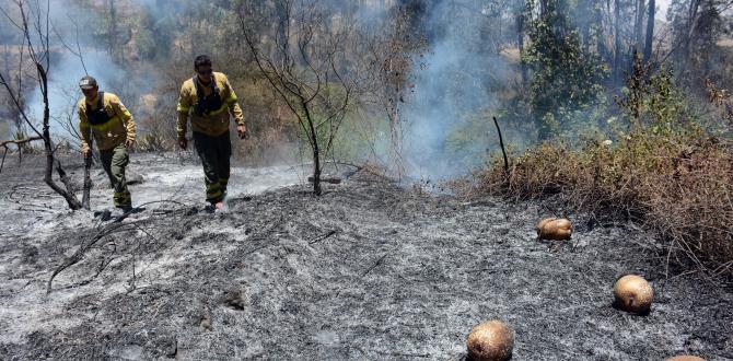 Incendio en Quito | Laderas