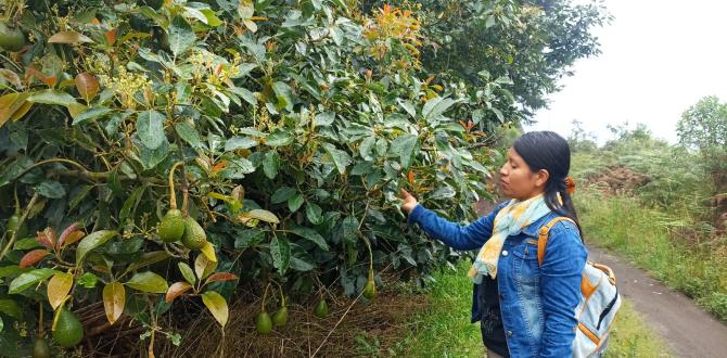 AGRICULTORES TUNGURAHUA