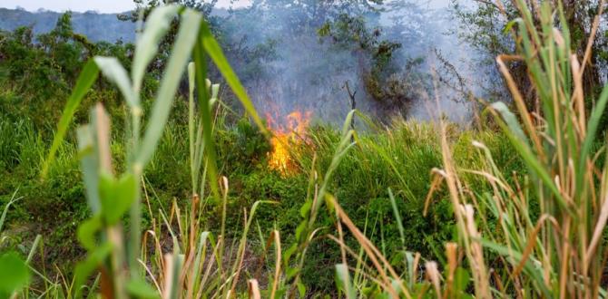 Varios incendios se han registrado en Esmeraldas.