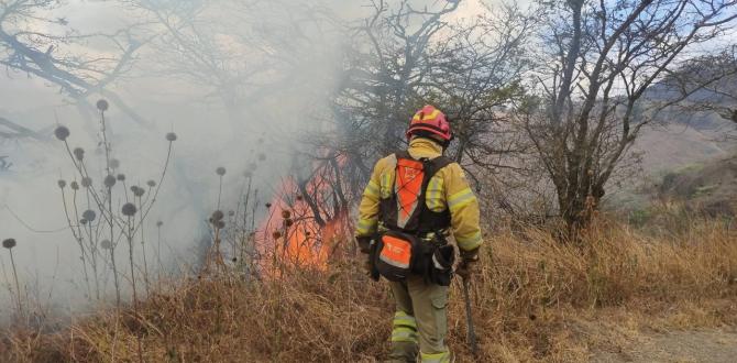 Los Bomberos de la localidad lucha por apagar el fuego.