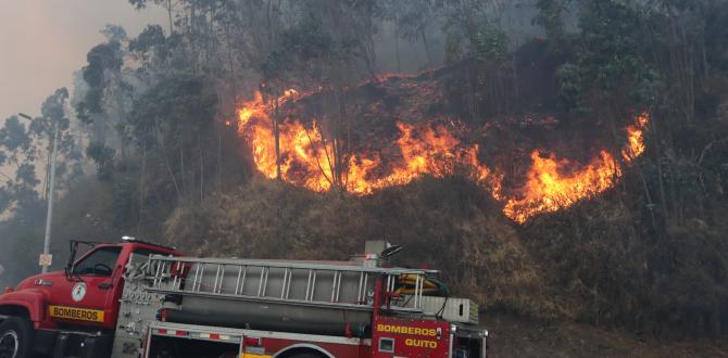 Las llamas no cesan pese al esfuerzo del Cuerpo de Bomberos de Quito.