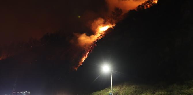 Siete incendios se registraron este 24 de septiembre en la capital.