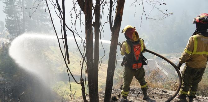 Miembros del Cuerpo de Bomberos siguen en actividades para controlar las llamas.