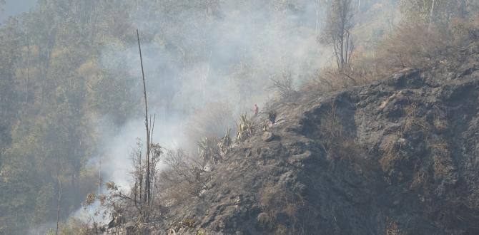 Incendios forestales Quito - Bomberos - Emergencia