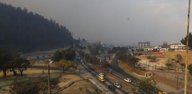 Incendio Bellavista