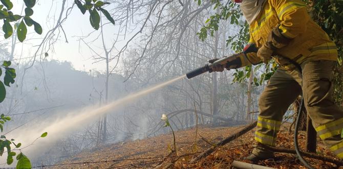 Bomberos de Guayaquil batallaron contra un incendio en Km. 38 de la vía a la Costa.