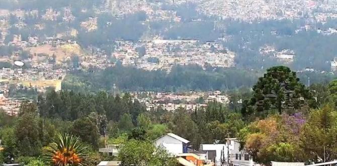 El humo del incendio forestal en la Armenia, valle de Los Chillos, se podía observar desde la zona de la vía Intervalles.