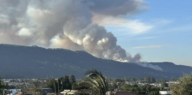 El incendio en la vía al valle de los Chillos.