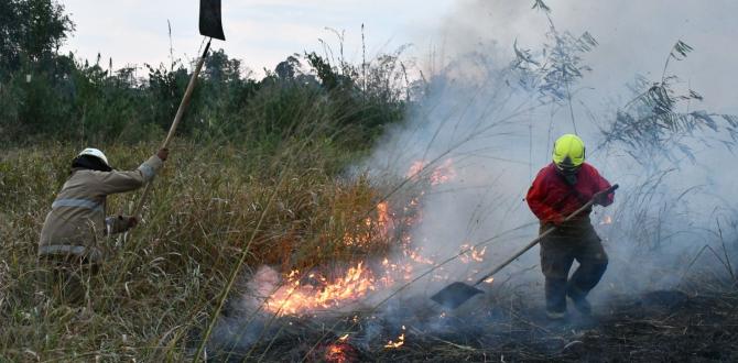 Los incendios forestales han consumido miles de hectáreas en Ecuador.