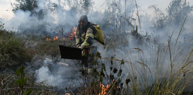 Bomberos lograron extinguir las llamas tras varias horas de trabajo.