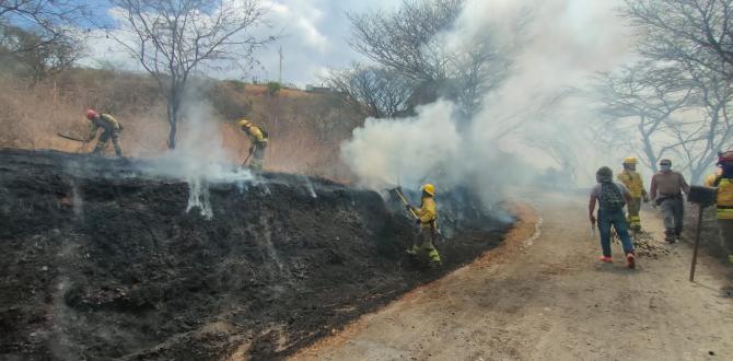 Incendios forestales afectan varias provincias del país.