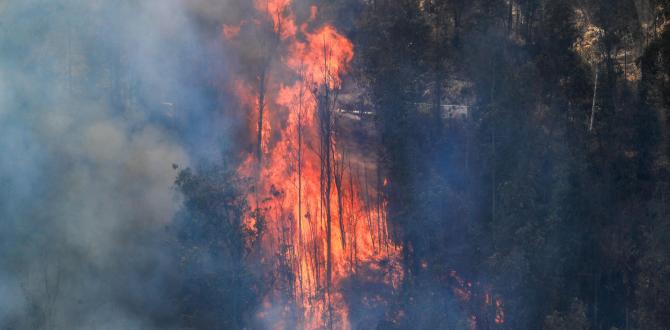 Los incendios en Quito, sin control.