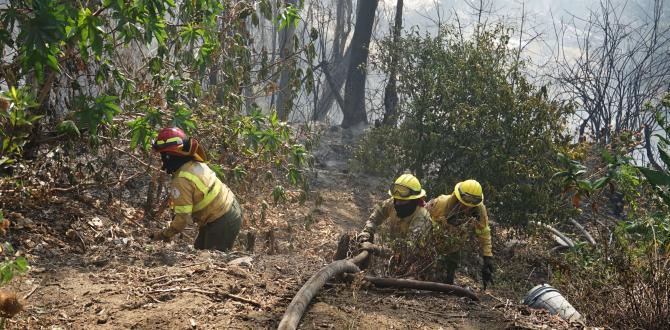 Incendios en Quito