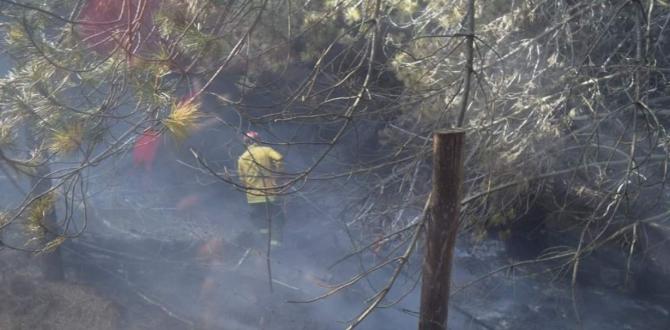 Las llamas avanzan destruyendo todo a su paso. Ayer afectó al bosque de pinos en las faldas del volcán Cotopaxi