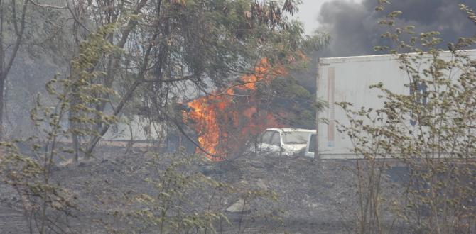 El paisaje quedó opacado por una espesa nube de humo.