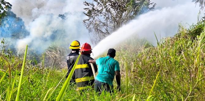 incendio quinindÉ