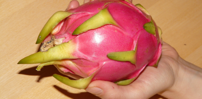 Pitahaya o fruta del dragón.