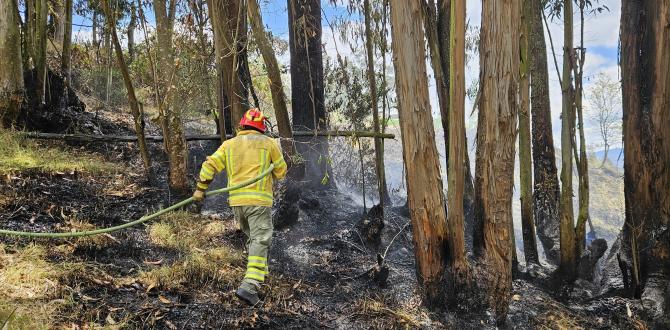 INCENDIOS EN AZUAY