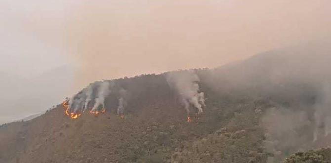 INCENDIOS FORESTALES EN VILCABAMBA