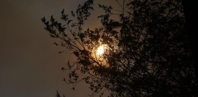 INCENDIOS EN QUITO