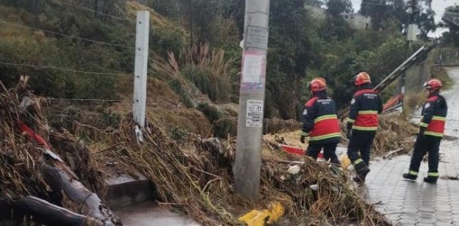 Un árbol cayó a consecuencia de las lluvias en Quito.