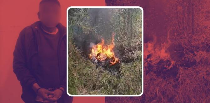 Incendios forestales Quito - Bomberos - Emergencia