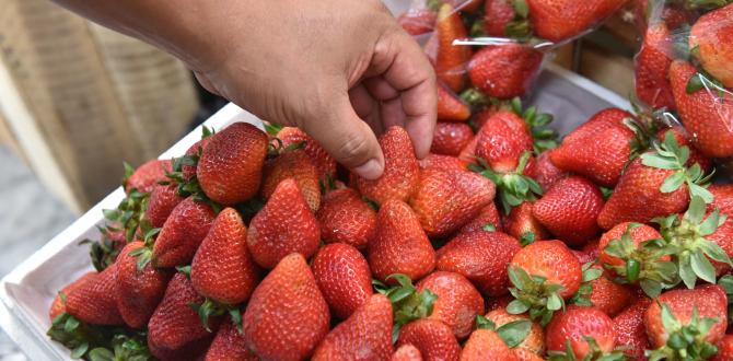 Mercado Iñaquito - Caserito - frutas