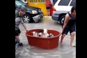 Los cachorros fueron trasladados en una enorme lavacara plástica.