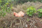 El cadáver estaba cubierto con una tela color naranja entre la maleza.