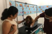 Maricela Menéndez y el veterinario Guillermo Torres, durante una sesión de terapia a Ringo, un coker spaniel de 9 años,.