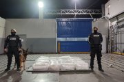 Los canes especializados en detectar droga fueron los que identificaron el alcaloide.