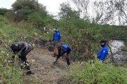 Peritos hicieron el hallazgo en una zona del golfo de Guayaquil.