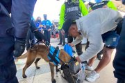 Durante los controles también se revisa si los pasajeros llevan sustancias estupefacientes.