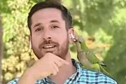 Un loro le robó los auriculares a un periodista en plena transmisión en vivo