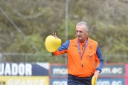 Gustavo Alfaro pidió tiempo para dar una respuesta a la Tri. El técnico argentino  argumentó motivos personales para esta decisión.