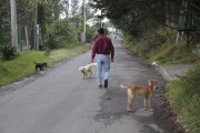 Los perritos del habitante no solo encontraron las osamentas, sino también una prenda de vestir.