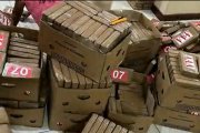El cargamento ilegal estaba repartido en más de doscientas cajas