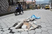 En la Comuna se entregó la obra en agosto y pocas semanas después se dañó.