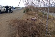 Al parecer, el joven fue asesinado en otro sitio.