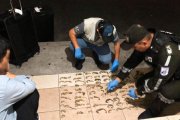 El ciudadano chino fue detenido con 78 caballos de mar.