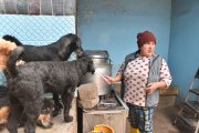Todos los días cocina dos grandes ollas de sopa para completar la alimentación de los perros rescatados.