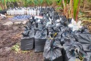 Expertos sostienen que la histórica incautación de droga en Vinces podría traer retaliaciones.