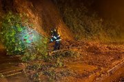 Las fuertes lluvias provocaron varios deslizamientos de tierra.