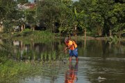 Un arrocero tratando de salvar las pocas plantas que aún no se habían ahogado.