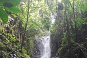 Una de las impresionantes caídas de agua, atractivos turísticos de Centinela del Cóndor.